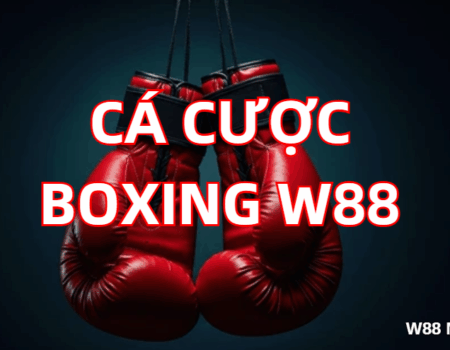 ca cuoc boxing w88