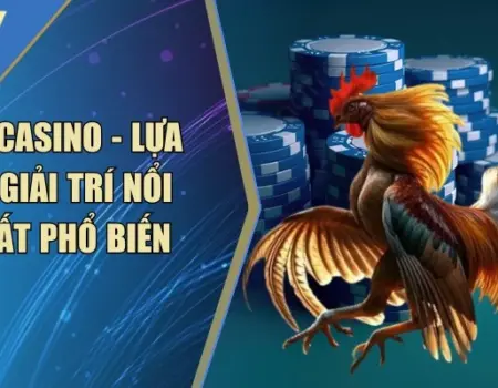 Đá Gà Casino
